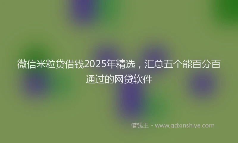 微信米粒贷借钱2025年精选，汇总五个能百分百通过的网贷软件