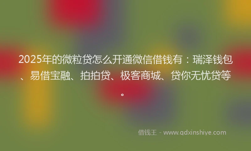 2025年的微粒贷怎么开通微信借钱有：瑞泽钱包、易借宝融、拍拍贷、极客商城、贷你无忧贷等。