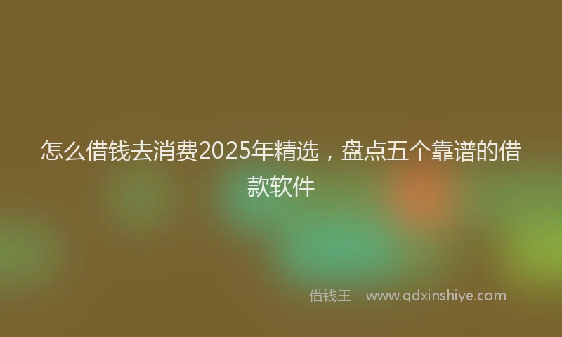 怎么借钱去消费2025年精选，盘点五个靠谱的借款软件