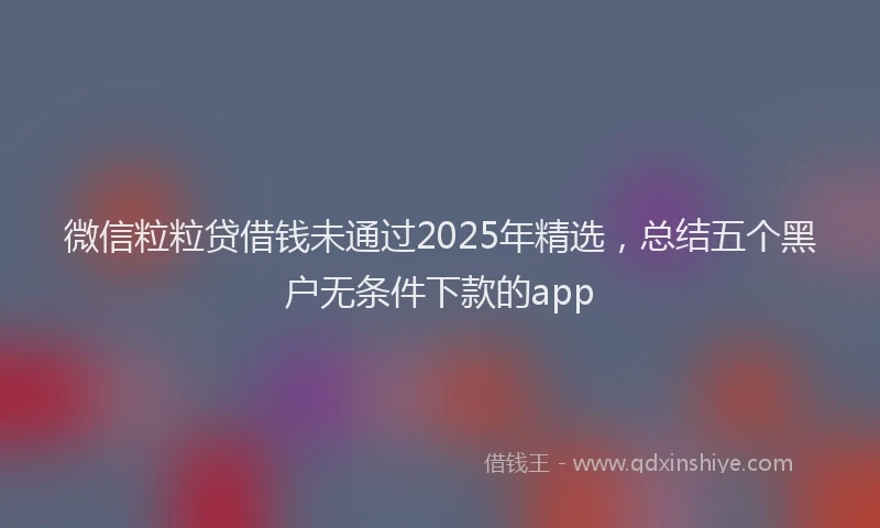 微信粒粒贷借钱未通过2025年精选，总结五个黑户无条件下款的app