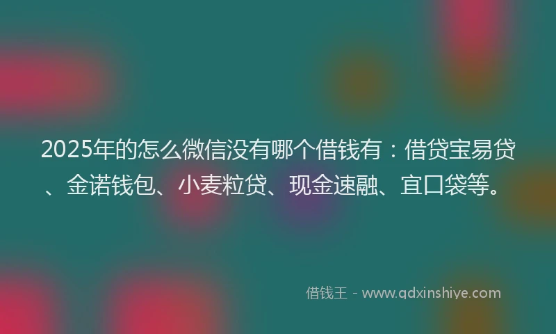 2025年的怎么微信没有哪个借钱有：借贷宝易贷、金诺钱包、小麦粒贷、现金速融、宜口袋等。