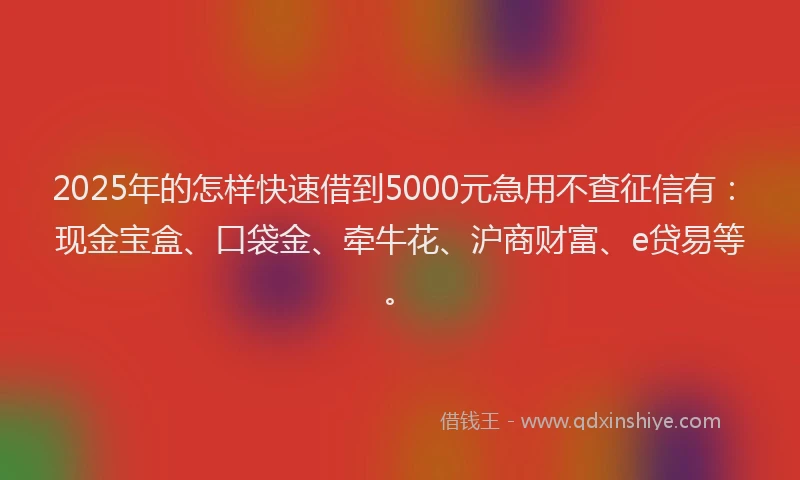 2025年的怎样快速借到5000元急用不查征信有：现金宝盒、口袋金、牵牛花、沪商财富、e贷易等。