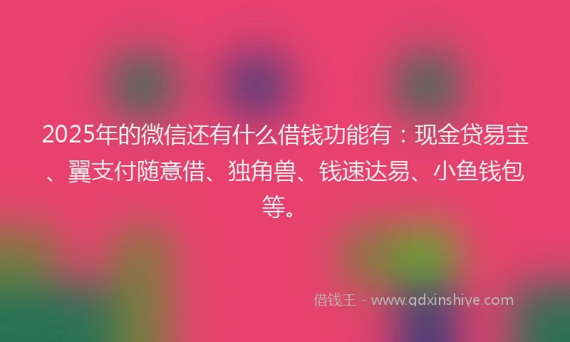 2025年的微信还有什么借钱功能有：现金贷易宝、翼支付随意借、独角兽、钱速达易、小鱼钱包等。