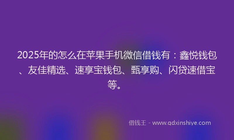 2025年的怎么在苹果手机微信借钱有：鑫悦钱包、友佳精选、速享宝钱包、甄享购、闪贷速借宝等。
