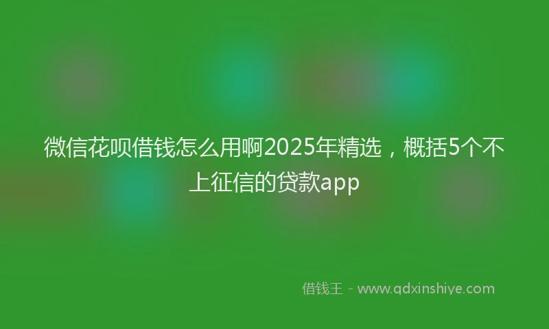微信花呗借钱怎么用啊2025年精选，概括5个不上征信的贷款app