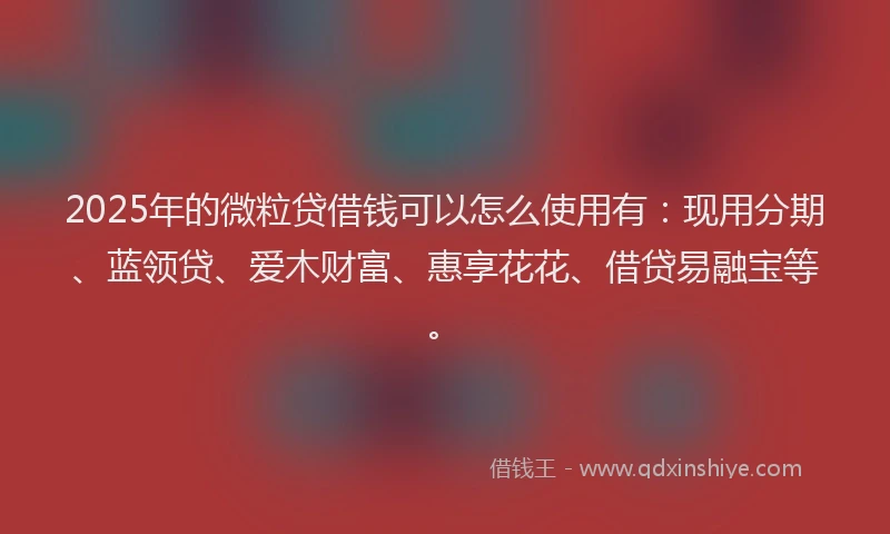 2025年的微粒贷借钱可以怎么使用有：现用分期、蓝领贷、爱木财富、惠享花花、借贷易融宝等。