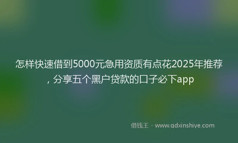 怎样快速借到5000元急用资质有点花2025年推荐，分享五个黑户贷款的口子必下app