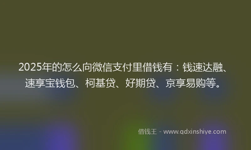 2025年的怎么向微信支付里借钱有：钱速达融、速享宝钱包、柯基贷、好期贷、京享易购等。