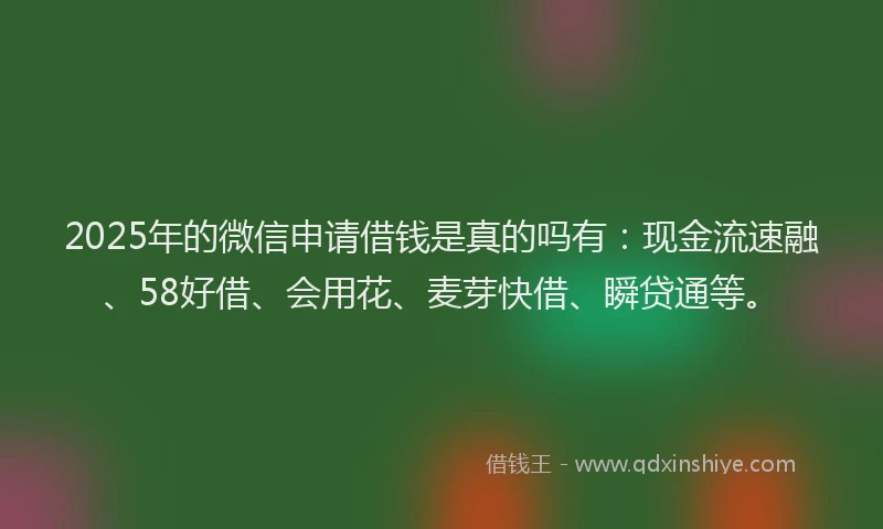 2025年的微信申请借钱是真的吗有：现金流速融、58好借、会用花、麦芽快借、瞬贷通等。
