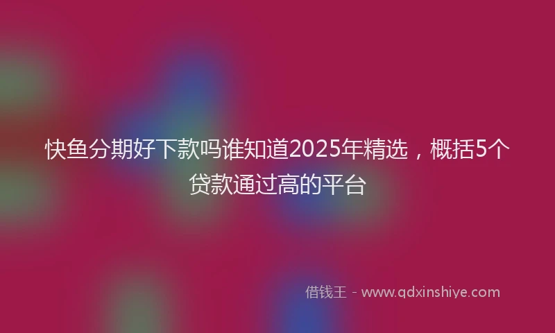 快鱼分期好下款吗谁知道2025年精选，概括5个贷款通过高的平台