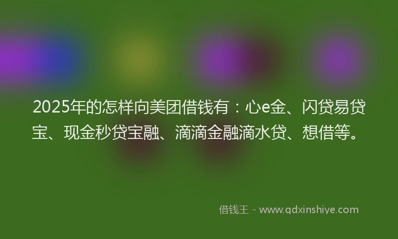 2025年的怎样向美团借钱有：心e金、闪贷易贷宝、现金秒贷宝融、滴滴金融滴水贷、想借等。