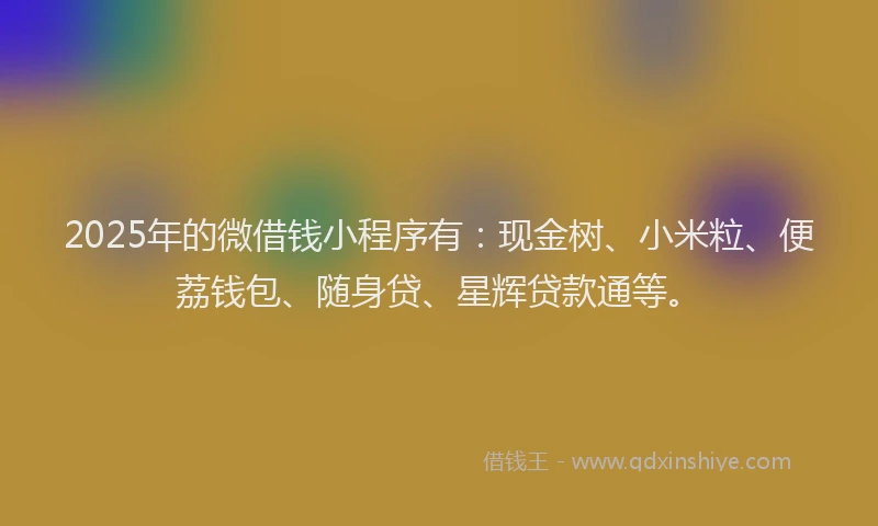 2025年的微借钱小程序有：现金树、小米粒、便荔钱包、随身贷、星辉贷款通等。