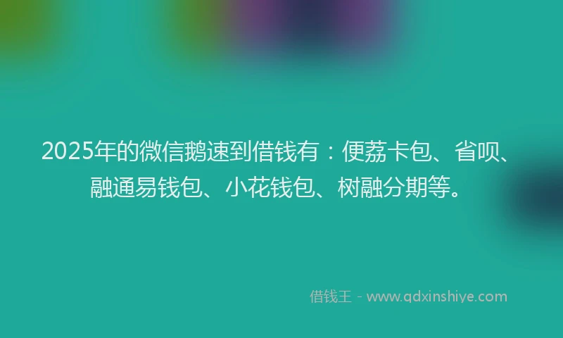 2025年的微信鹅速到借钱有：便荔卡包、省呗、融通易钱包、小花钱包、树融分期等。