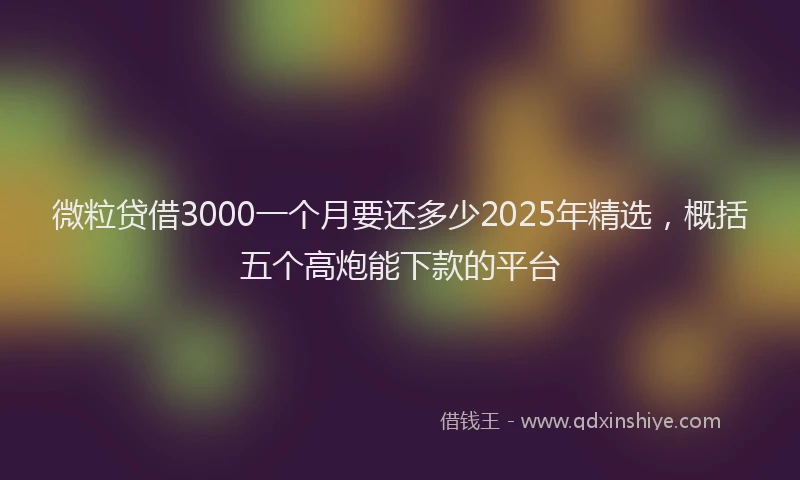 微粒贷借3000一个月要还多少2025年精选，概括五个高炮能下款的平台
