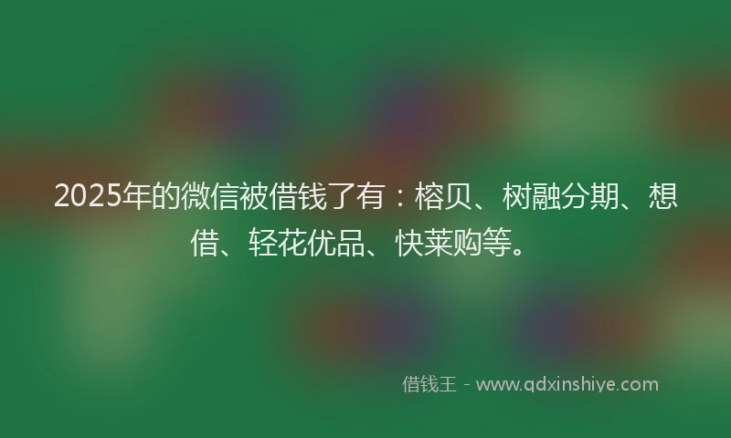 2025年的微信被借钱了有：榕贝、树融分期、想借、轻花优品、快莱购等。