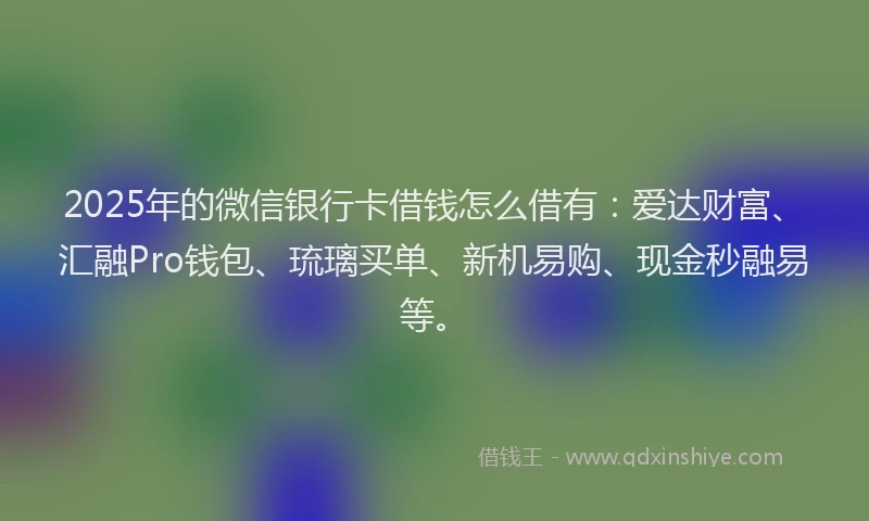 2025年的微信银行卡借钱怎么借有：爱达财富、汇融Pro钱包、琉璃买单、新机易购、现金秒融易等。