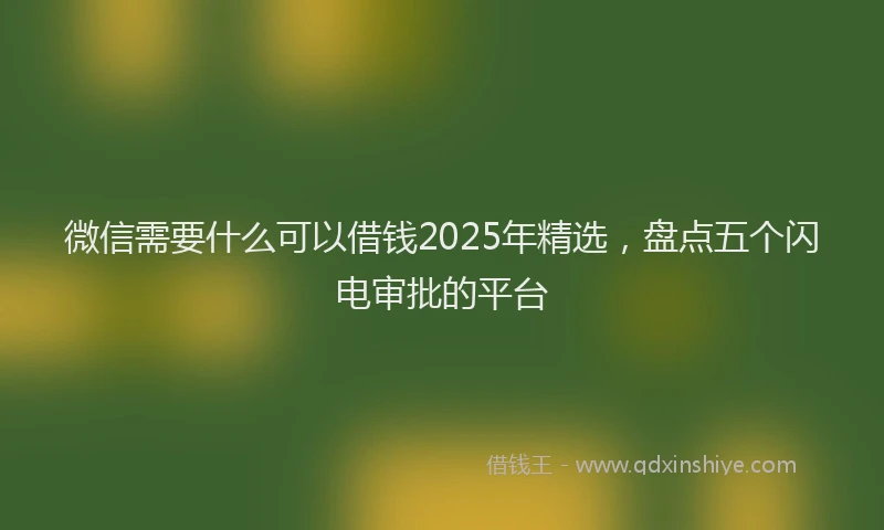 微信需要什么可以借钱2025年精选，盘点五个闪电审批的平台