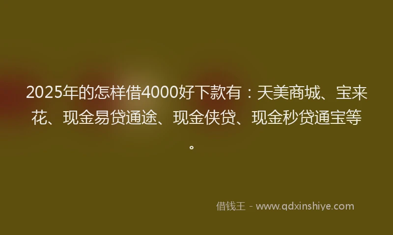 2025年的怎样借4000好下款有：天美商城、宝来花、现金易贷通途、现金侠贷、现金秒贷通宝等。