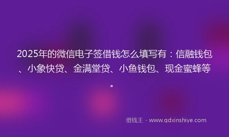 2025年的微信电子签借钱怎么填写有：信融钱包、小象快贷、金满堂贷、小鱼钱包、现金蜜蜂等。