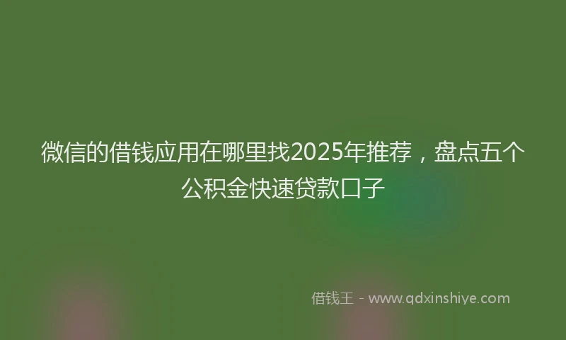 微信的借钱应用在哪里找2025年推荐，盘点五个公积金快速贷款口子