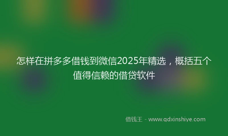 怎样在拼多多借钱到微信2025年精选，概括五个值得信赖的借贷软件