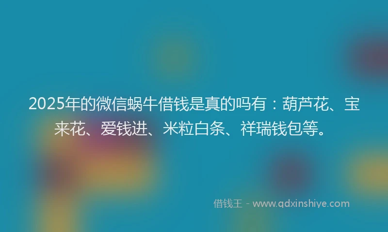 2025年的微信蜗牛借钱是真的吗有：葫芦花、宝来花、爱钱进、米粒白条、祥瑞钱包等。