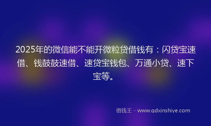 2025年的微信能不能开微粒贷借钱有：闪贷宝速借、钱鼓鼓速借、速贷宝钱包、万通小贷、速下宝等。