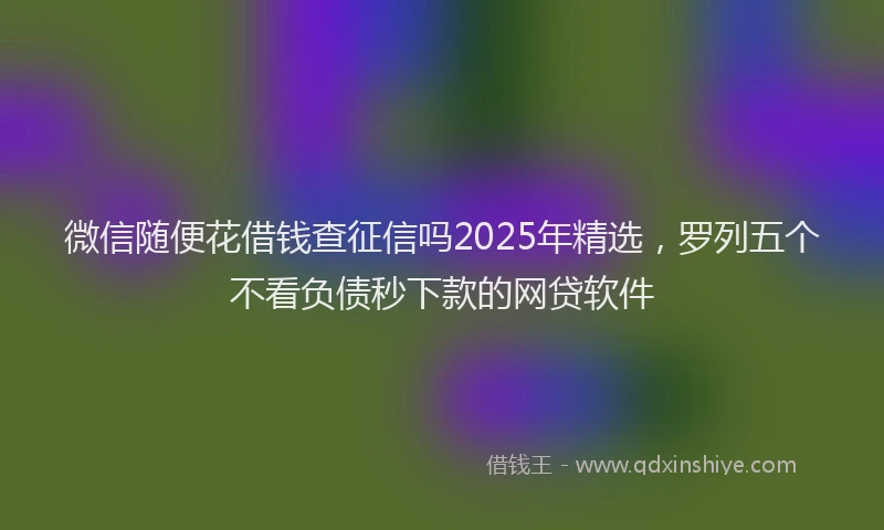 微信随便花借钱查征信吗2025年精选，罗列五个不看负债秒下款的网贷软件