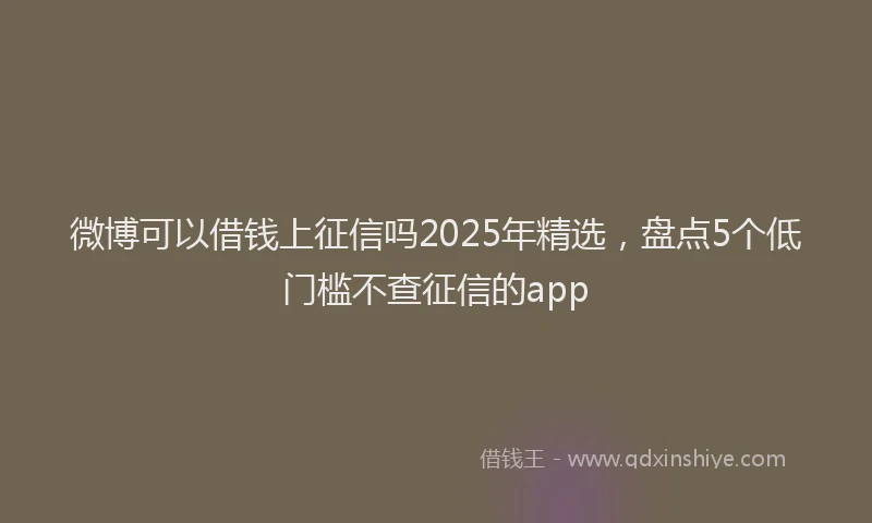 微博可以借钱上征信吗2025年精选，盘点5个低门槛不查征信的app
