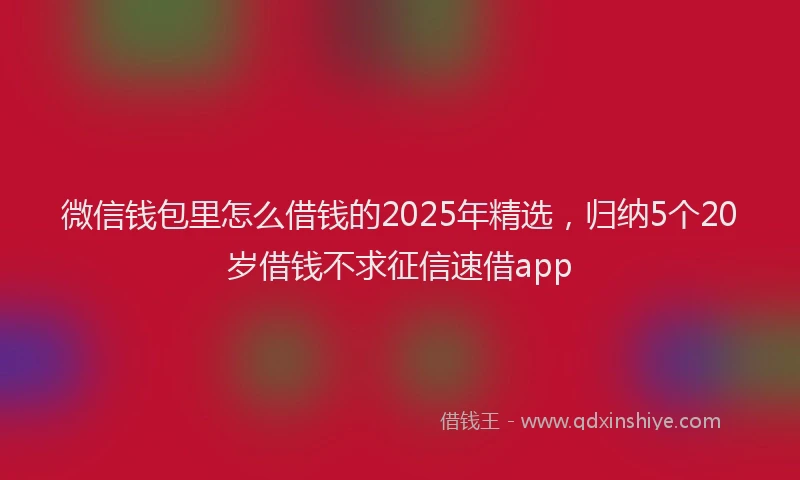 微信钱包里怎么借钱的2025年精选，归纳5个20岁借钱不求征信速借app