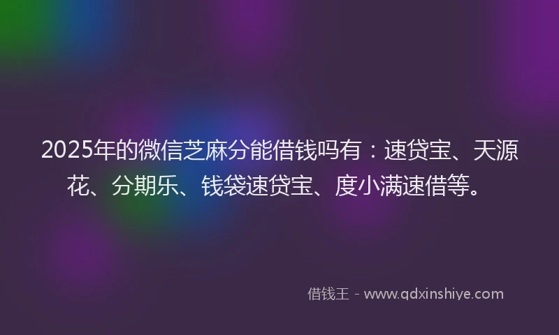 2025年的微信芝麻分能借钱吗有：速贷宝、天源花、分期乐、钱袋速贷宝、度小满速借等。