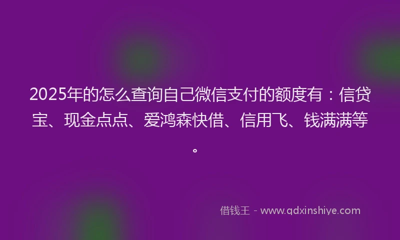2025年的怎么查询自己微信支付的额度有：信贷宝、现金点点、爱鸿森快借、信用飞、钱满满等。