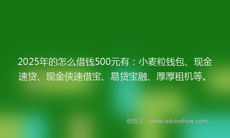 2025年的怎么借钱500元有：小麦粒钱包、现金速贷、现金侠速借宝、易贷宝融、厚厚租机等。