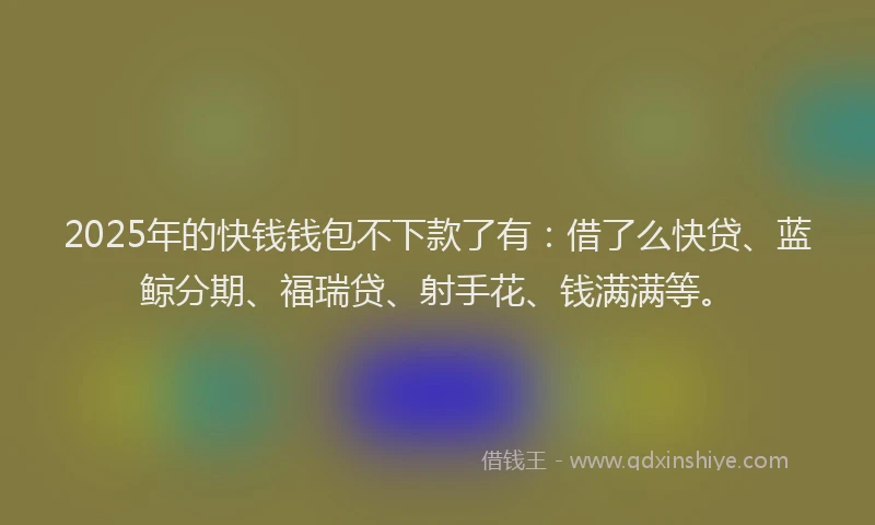 2025年的快钱钱包不下款了有：借了么快贷、蓝鲸分期、福瑞贷、射手花、钱满满等。