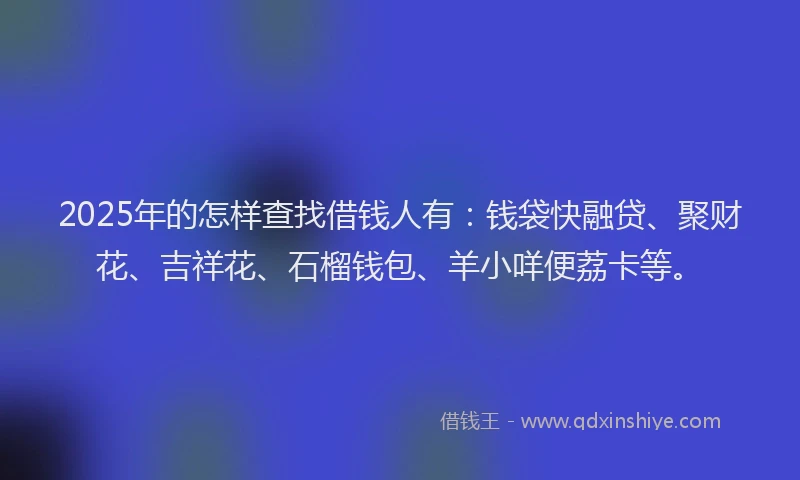 2025年的怎样查找借钱人有：钱袋快融贷、聚财花、吉祥花、石榴钱包、羊小咩便荔卡等。