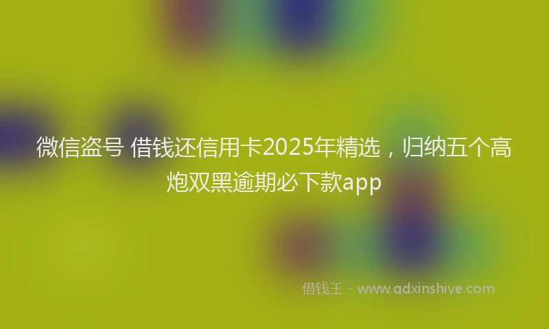 微信盗号 借钱还信用卡2025年精选，归纳五个高炮双黑逾期必下款app