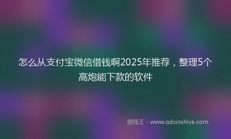 怎么从支付宝微信借钱啊2025年推荐，整理5个高炮能下款的软件