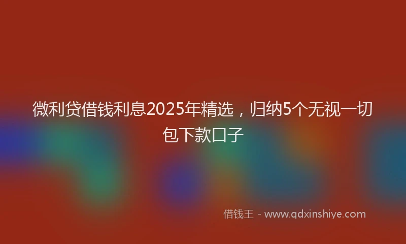 微利贷借钱利息2025年精选，归纳5个无视一切包下款口子