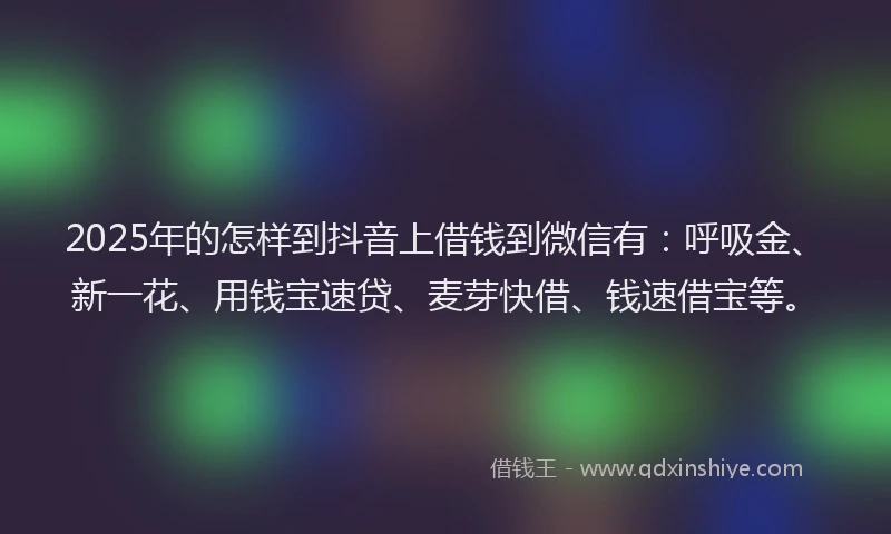 2025年的怎样到抖音上借钱到微信有：呼吸金、新一花、用钱宝速贷、麦芽快借、钱速借宝等。