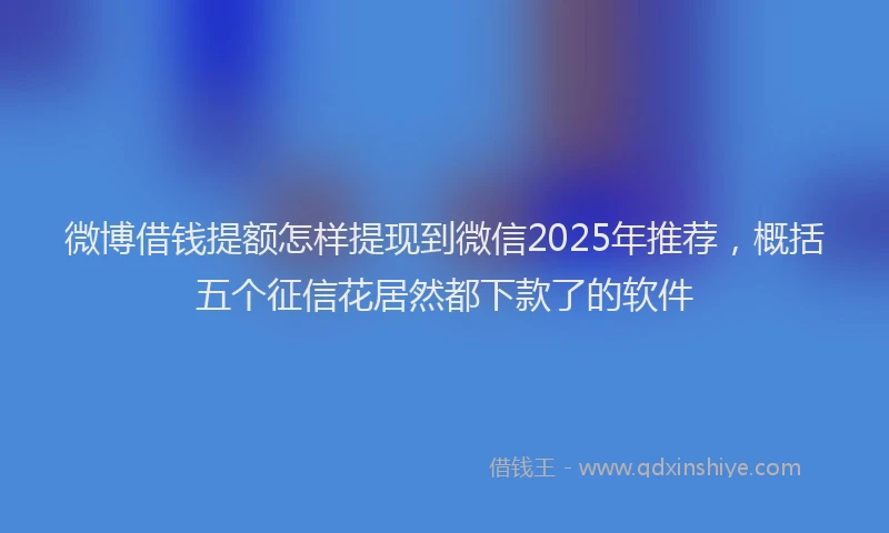 微博借钱提额怎样提现到微信2025年推荐，概括五个征信花居然都下款了的软件