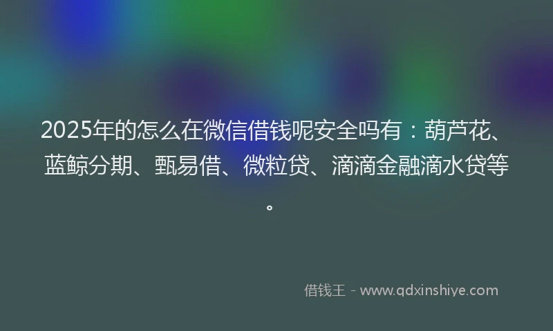 2025年的怎么在微信借钱呢安全吗有：葫芦花、蓝鲸分期、甄易借、微粒贷、滴滴金融滴水贷等。