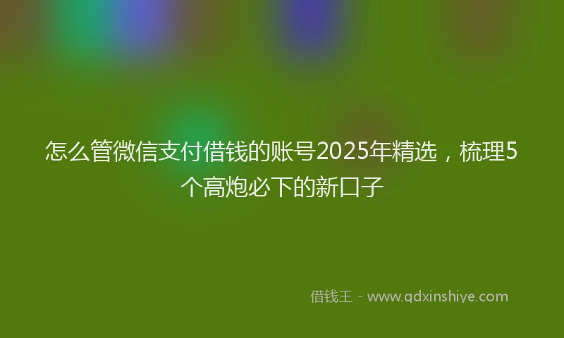 怎么管微信支付借钱的账号2025年精选，梳理5个高炮必下的新口子