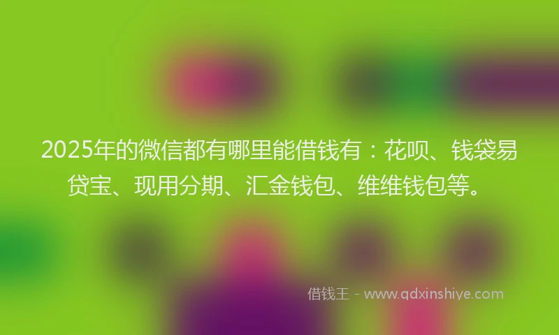 2025年的微信都有哪里能借钱有：花呗、钱袋易贷宝、现用分期、汇金钱包、维维钱包等。