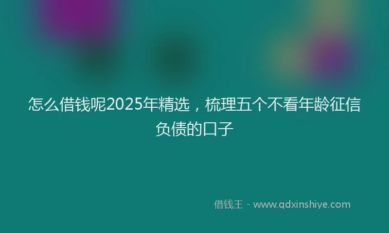 怎么借钱呢2025年精选，梳理五个不看年龄征信负债的口子