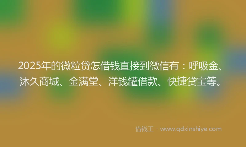 2025年的微粒贷怎借钱直接到微信有：呼吸金、沐久商城、金满堂、洋钱罐借款、快捷贷宝等。