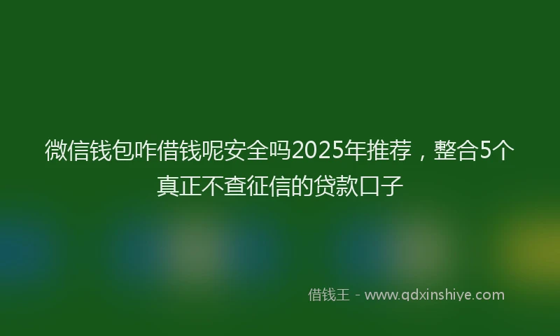 微信钱包咋借钱呢安全吗2025年推荐，整合5个真正不查征信的贷款口子