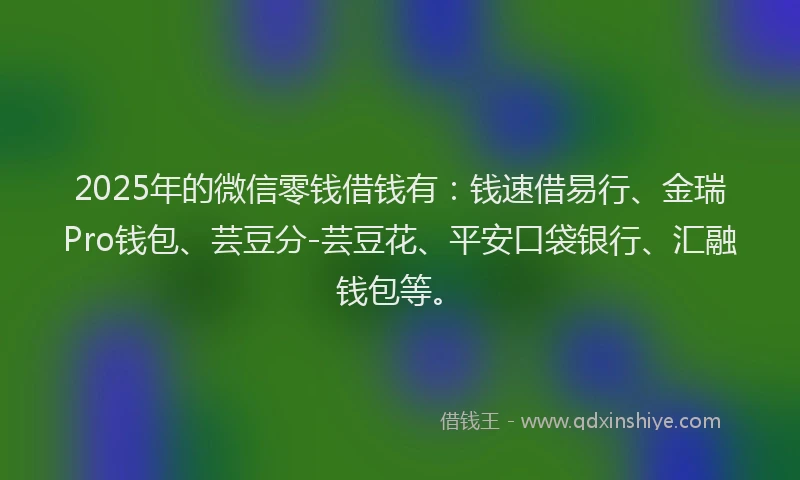 2025年的微信零钱借钱有：钱速借易行、金瑞Pro钱包、芸豆分-芸豆花、平安口袋银行、汇融钱包等。