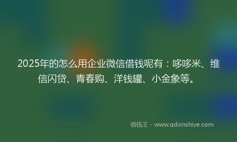 2025年的怎么用企业微信借钱呢有：哆哆米、维信闪贷、青春购、洋钱罐、小金象等。