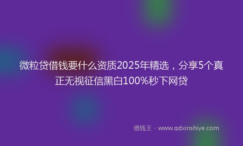 微粒贷借钱要什么资质2025年精选，分享5个真正无视征信黑白100%秒下网贷