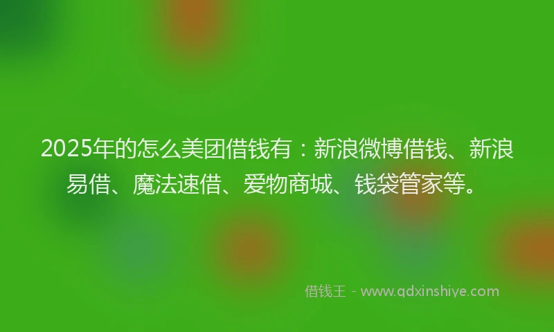 2025年的怎么美团借钱有：新浪微博借钱、新浪易借、魔法速借、爱物商城、钱袋管家等。